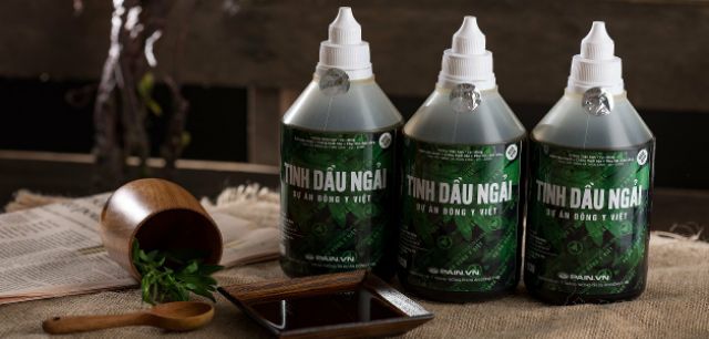 TINH DẦU NGẢI CỨU ĐẠI HỌC Y THÁI BÌNH - 500ML