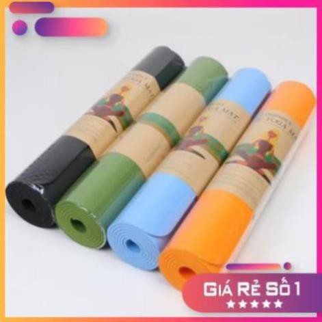 [FreeShip - Loại 1 Tốt Nhất] Thảm Yoga - Thảm Tập Yoga  TPE Dày 2 Lớp - Đồ Gia Dụng Thông Minh