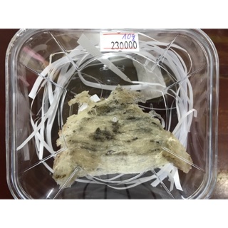 10g yến thô loại góc+ 🍎+ đường phèn