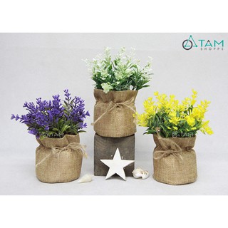 Chậu hoa nhỏ để bàn túi vải bố F-CHĐB-99