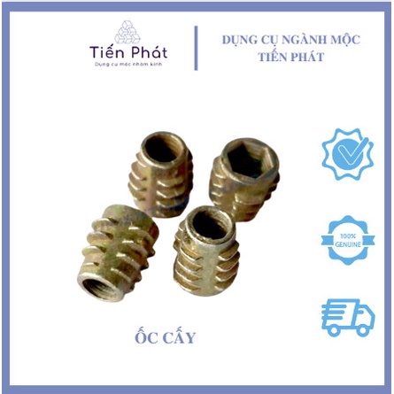 ốc cấy ren ngoài ( 100 con )