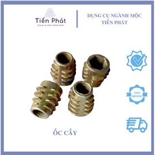 Ốc cấy ren ngoài