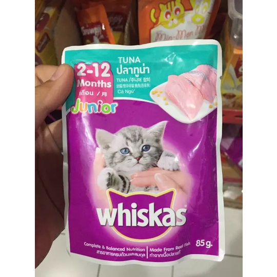 Combo Pate Whiskas Junior cho mèo con vị cá ngừ cá thu 80g