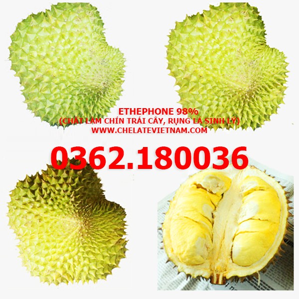 Chất làm chín trái cây, rụng lá sinh lý Ethephon 87%