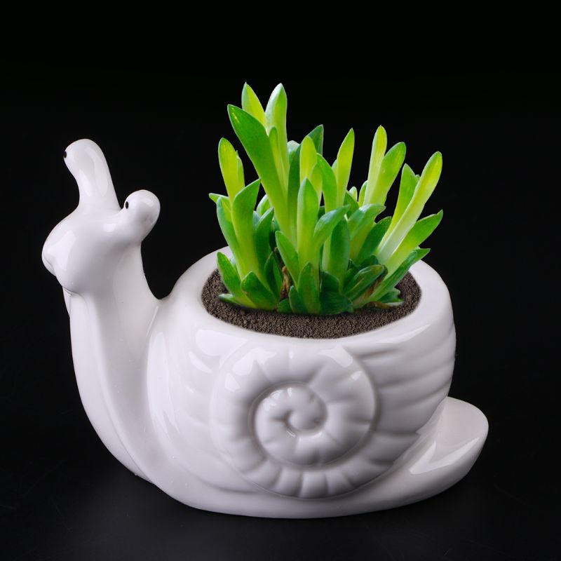 Chậu Hoa Bằng Sứ Hình Ốc Sên Dùng Trang Trí DIY