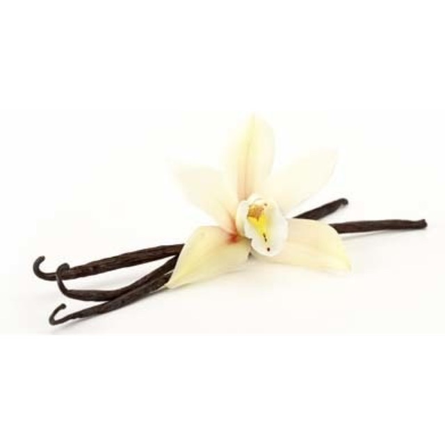 [FREESHIP 99K TOÀN QUỐC] Vanilla Bean Madagascar