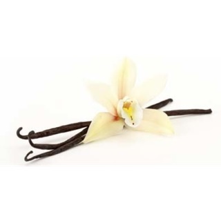 [FREESHIP 99K TOÀN QUỐC] Vanilla Bean Madagascar