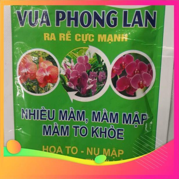 VUA PHONG LAN_ RA  RỄ CỰC MẠNH GÓI 25GR