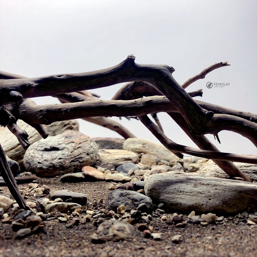 Sạn Suối Thiên Nhiên Femolay | Size L | Bao 2KG | Trang trí trải nền bể thủy sinh, Biotope.