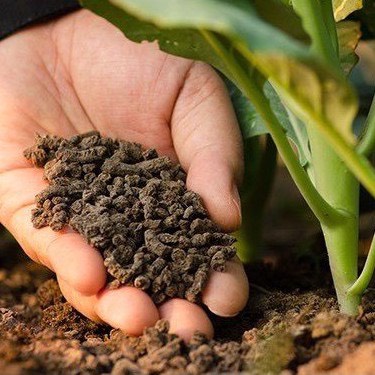 Phân gà hữu cơ vi sinh- phân bón hữu cơ cho hoa, cây cảnh, rau 1kg