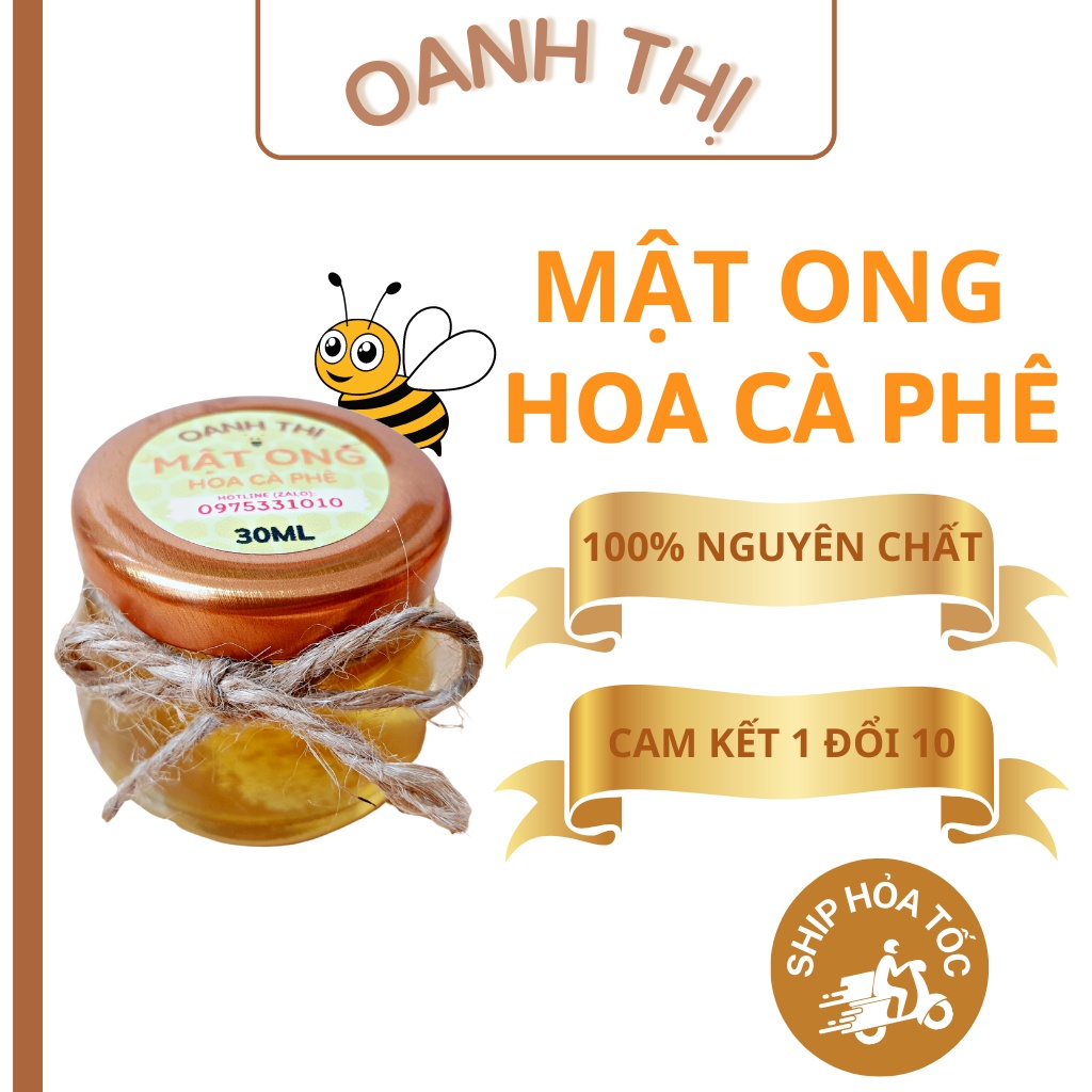 Mật ong hoa cà phê nguyên chất 100% - OANH THỊ - Lâm Đồng - 30ML