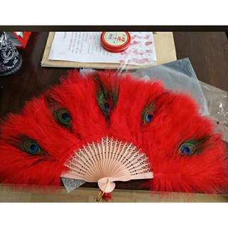 Quạt lông vũ + lông công dày dặn (oder )