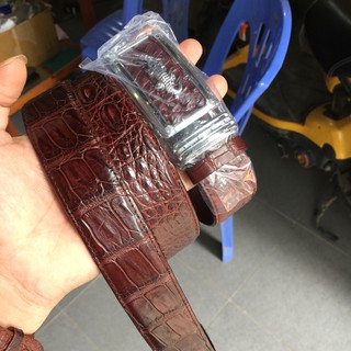 THẮT LƯNG CÁ SẤU