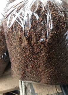 Hạt mắc khén ( tiêu rừng) 100g