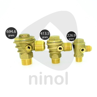 Van 1 chiều nén khí Đài Loan