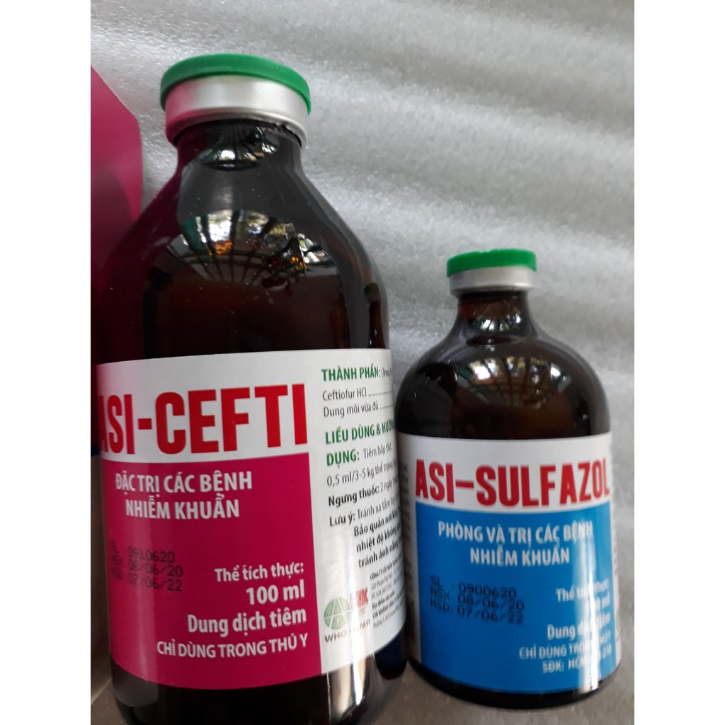 Cặp ASI Cefti và Sulfazol 100ml