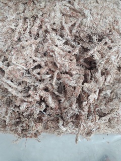 100g Rêu Sâu Chi Lê cao cấp trồng Lan