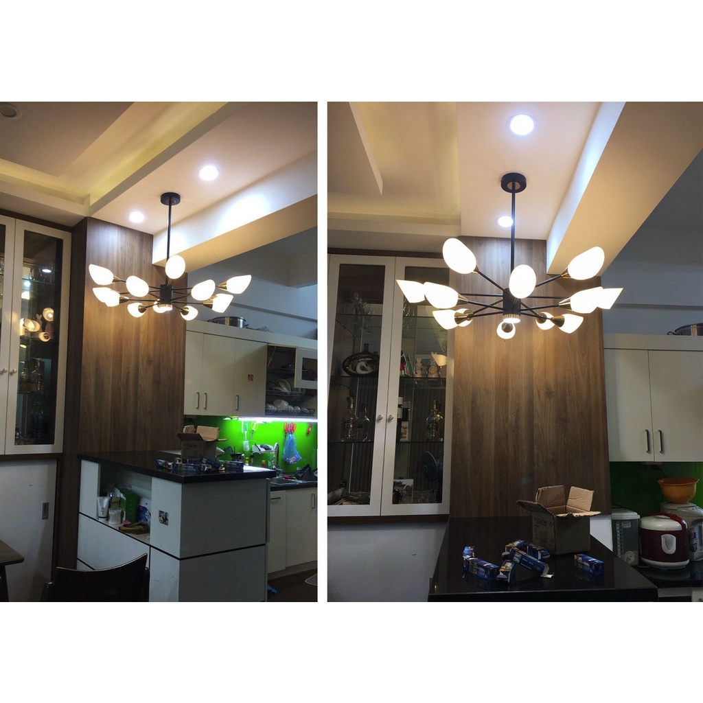 Đèn chùm MONSKY WANTE 12 bóng hiện đại trang trí nội thất cao cấp, sang trọng - kèm bóng LED