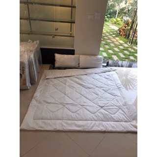 Ruột Chăn Hè 2mx2m2- Ảnh Chụp Thật