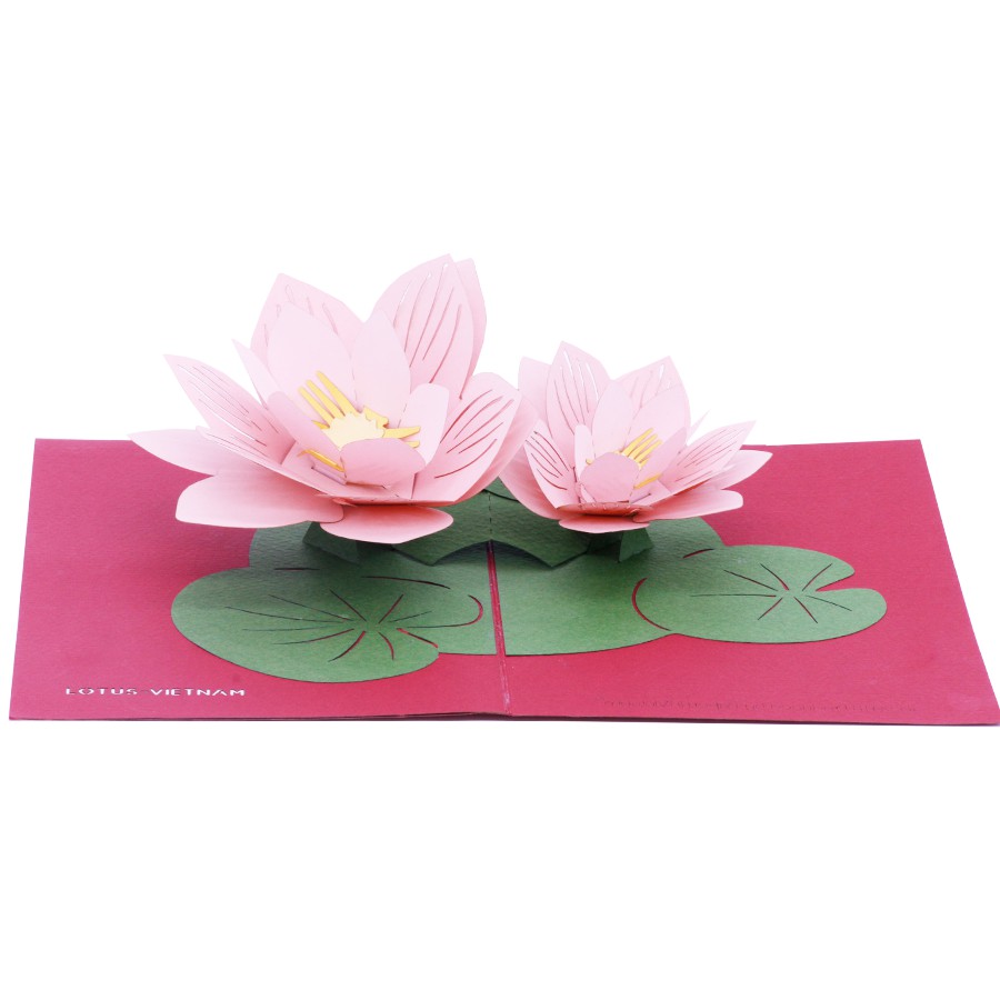 Thiệp nổi 3D Pop-up Hoa Sen - Paper Art Gift - PNP112