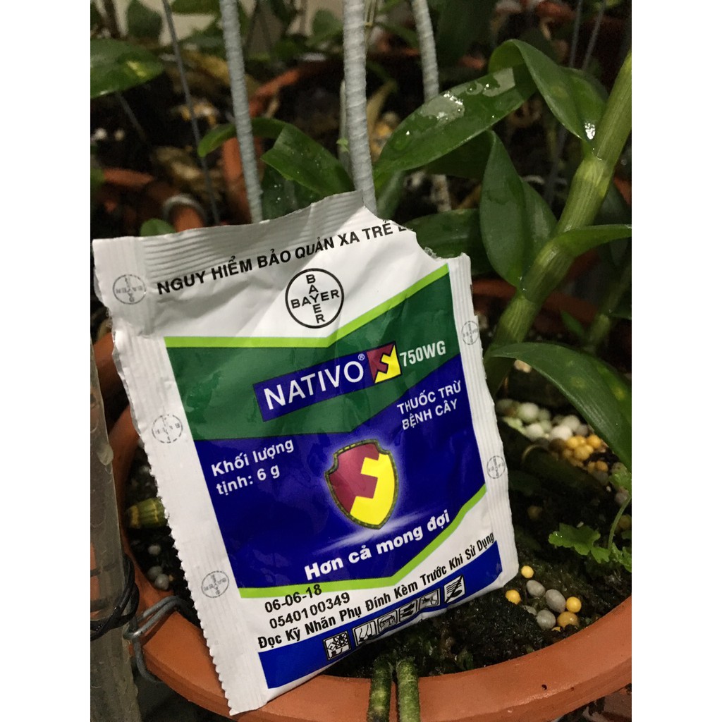 CHẾ PHẨM TRỪ BỆNH CHO CÂY NATIVO 750wg 6g
