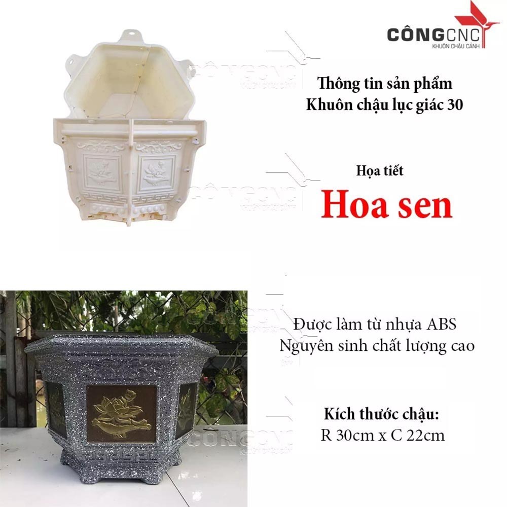 Khuôn Chậu Cảnh Giá Rẻ, Khuôn Chậu Lục Giác 30 (Hoa Sen)