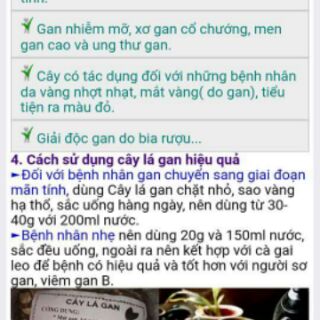 [FREESHIP 99K TOÀN QUỐC] Cây lá gan