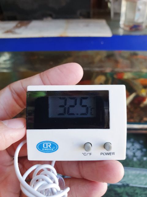 KẸP DÁN ĐO NHIỆT ĐỘ HỒ CÁ NON BỘ PIN ĐỒNG HỒ