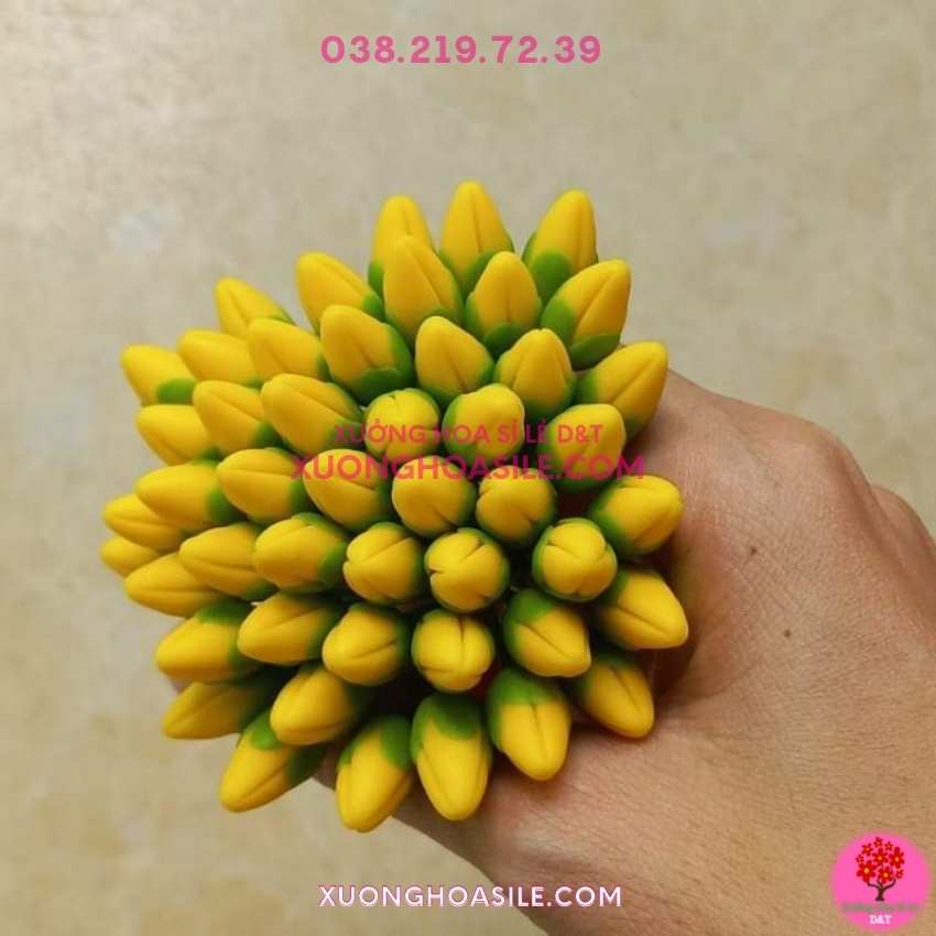 NỤ MAI GIẢ, NỤ MAI ĐẤT SÉT