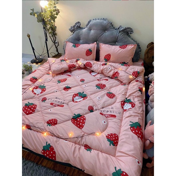 Bộ Chăn Ga Gối Cotton Poly Đáng Yêu, Chăn Ga Hàn Quốc Hàng Cao Cấp