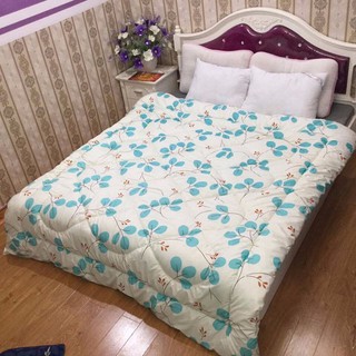 Chăn phao siêu nhẹ cotton poly