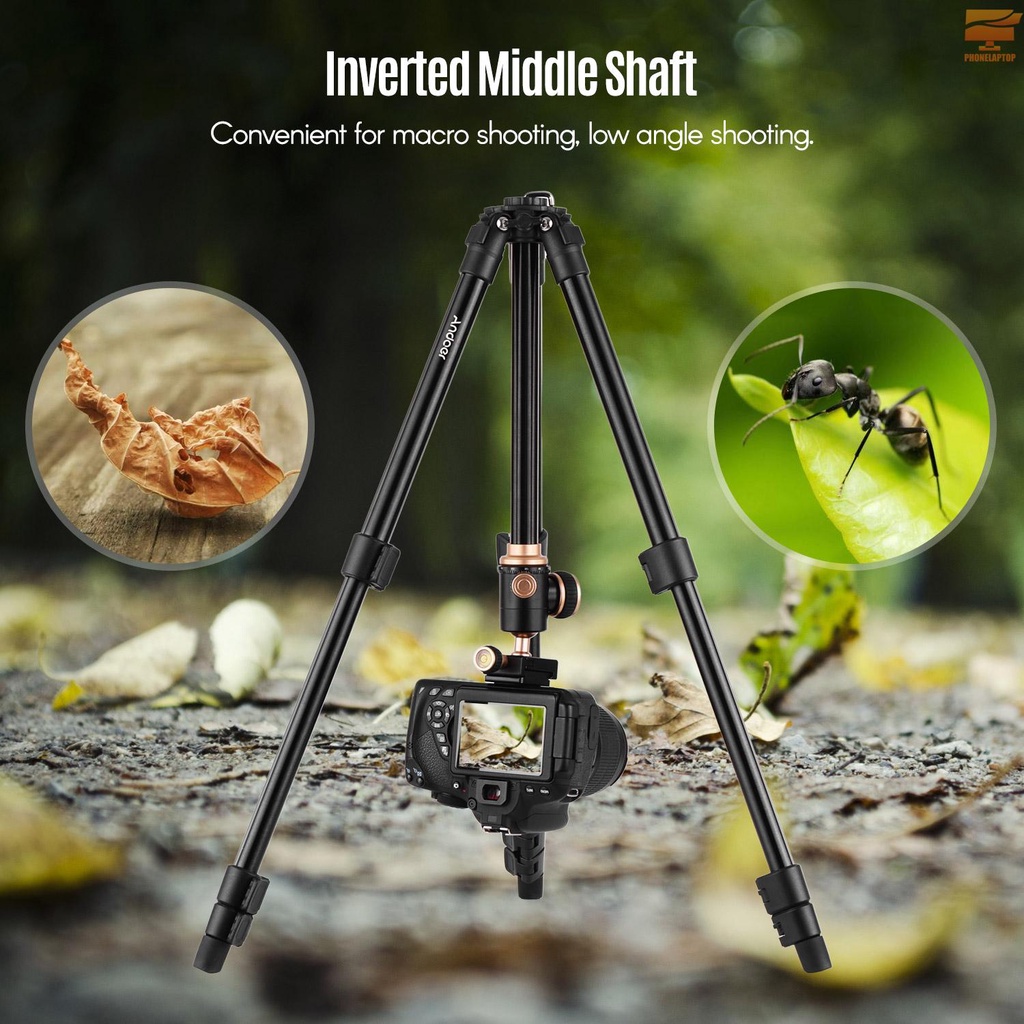 Chân Tripod Andoer Q160SA Chuyên Dụng Cho Máy Ảnh DSLR