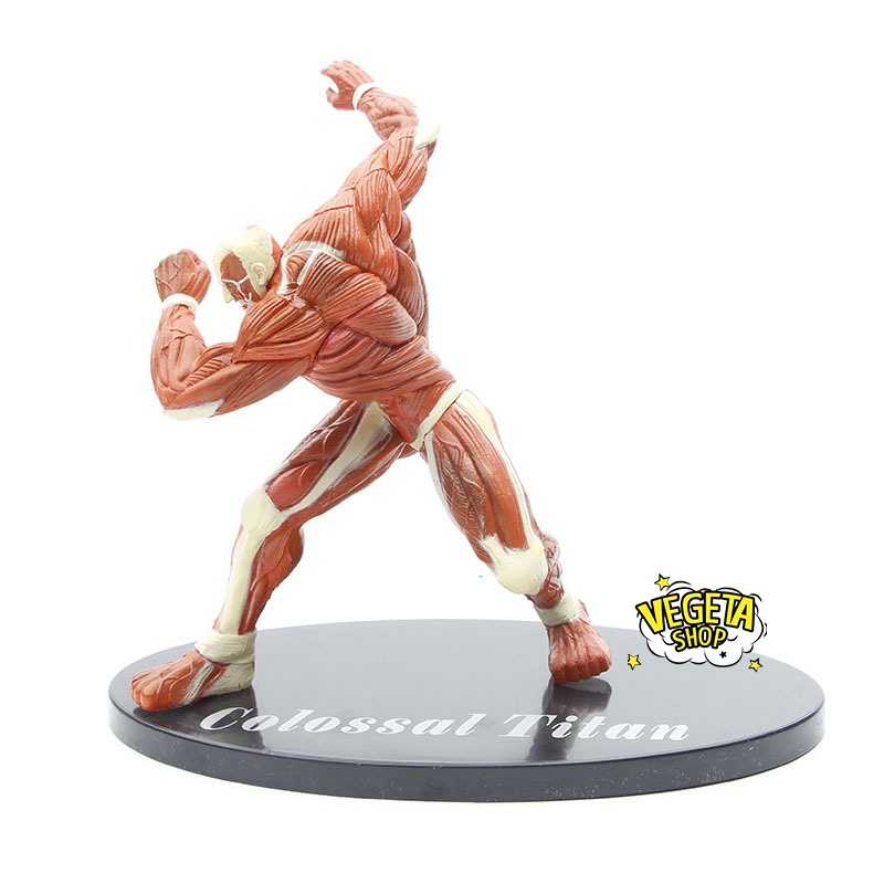 Mô hình Attack On Titan - Titan khổng lồ Colossal Titan - Armin Arlert Bertolt Hoover - Đại chiến Titan - Fullbox - 17cm