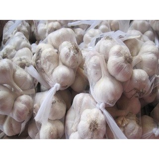Sỉ tỏi ta nhánh nhỏ