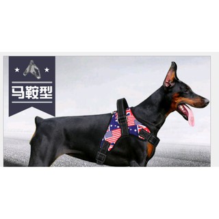 ĐAI YẾM DÀNH CHO CHÓ LỚN (TRÊN 25KG -65KG) GIÁ HẤP DẪN