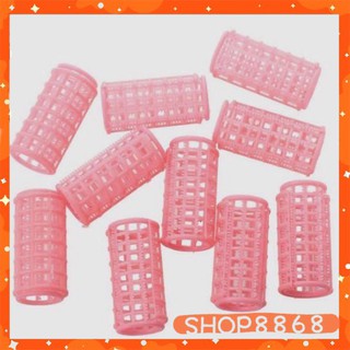 Combo 6 lô cuốn tóc gai - shop8868