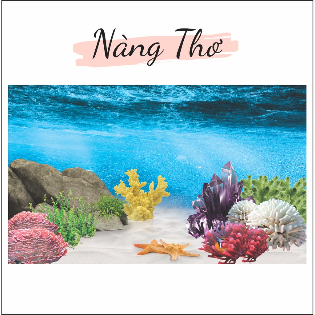 Decal dán Hồ Cá 3D siêu đẹp_GIÁ RẺ 13