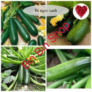 Hạt giống bí ngòi xanh dễ trồng ( 10 hạt)