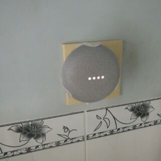 case treo Google home mini ( in 3D) US or UK