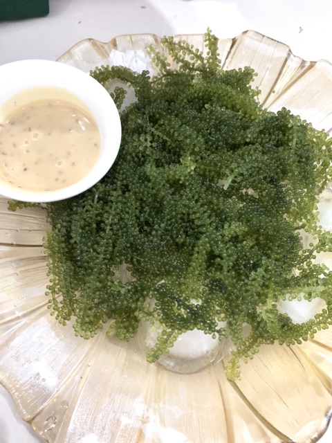 Nước chấm mè rang kewpie chai 180ml - nước sốt mè rang