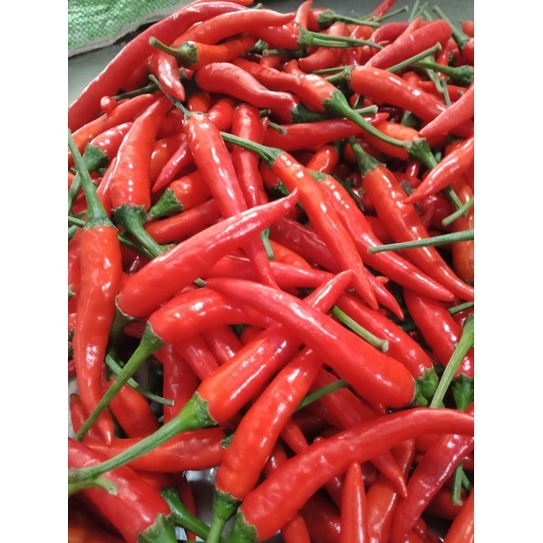 Ớt Trái  (500gr)