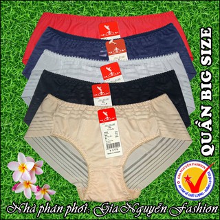 Có Bigsize đến 75kg: Set 5 quần lót Nữ - Thun lạnh mềm mại, viền không may, hàng VN cao cấp