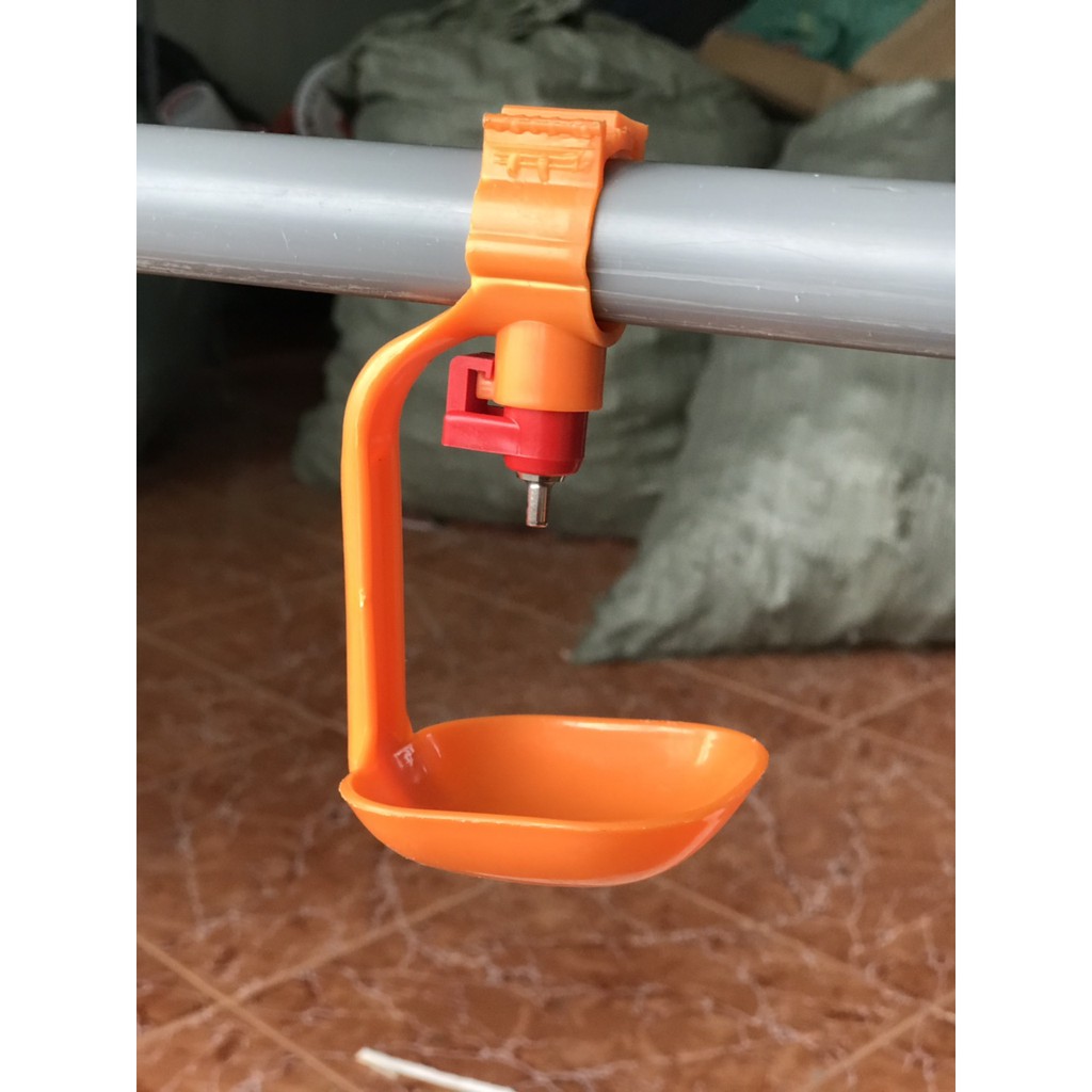 Combo 30 Núm Nước + Tách Hứng Nước Cho GÀ