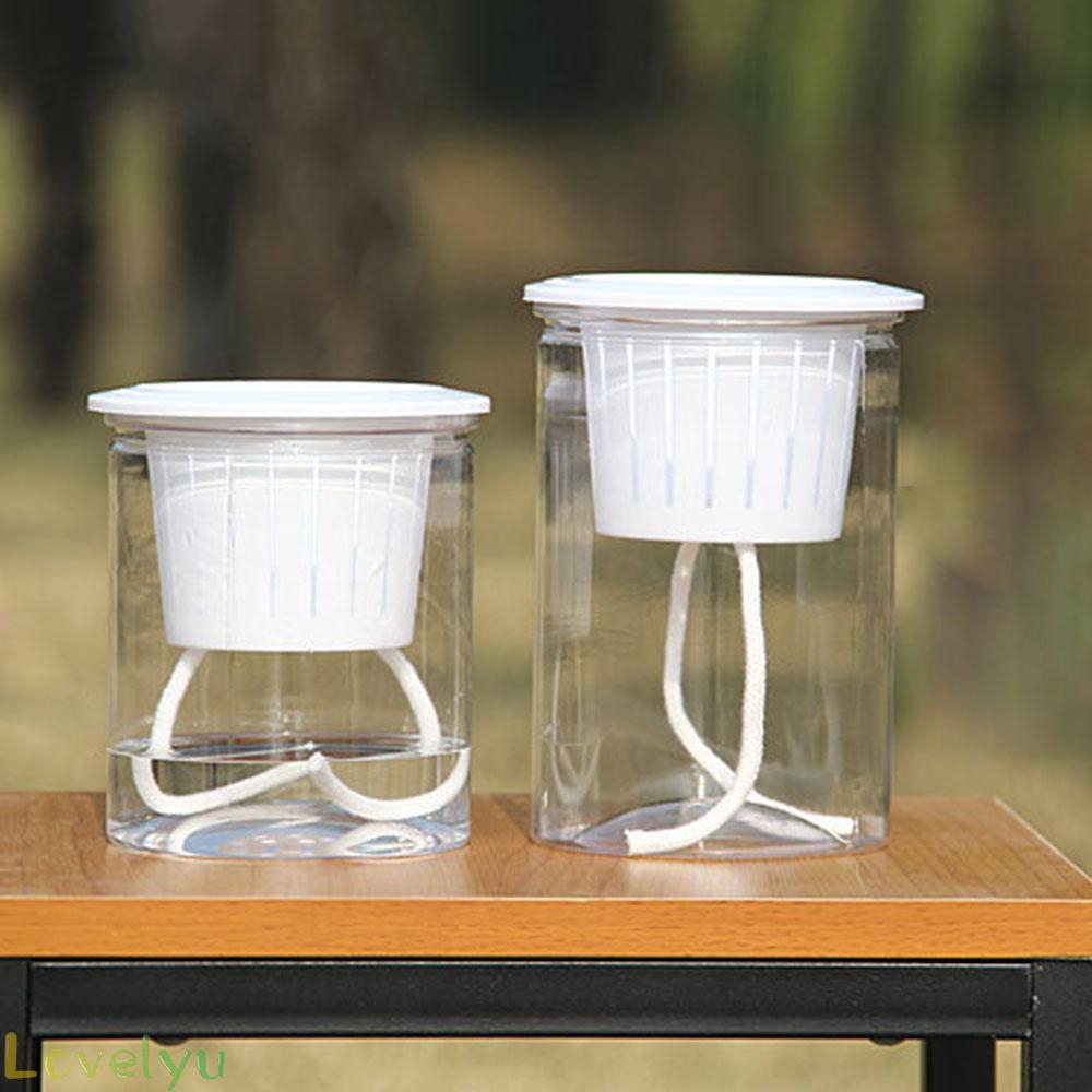 Chậu Cây Resin PP Trong Suốt Tự Tưới Nước