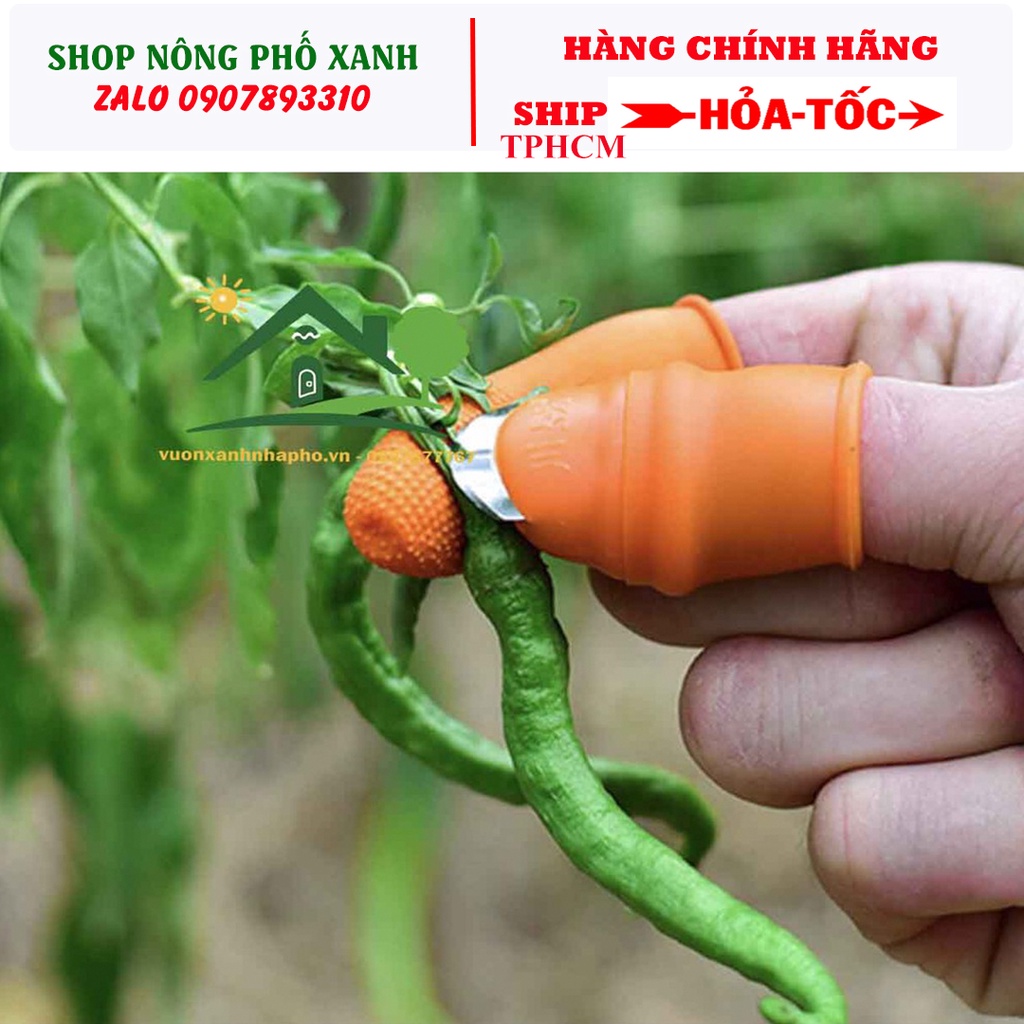 Bộ dụng cụ dao móng tay và bao tay xỏ ngón siêu tiện lợi hái rau thu hoặc trái làm bếp rất nhanh