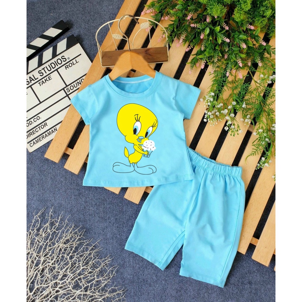 ( Khuyến mãi ) Bộ bé gái hình con vịt màu vàng ôm chậu hoa cho bé từ 6-28kg .BDBG53. .