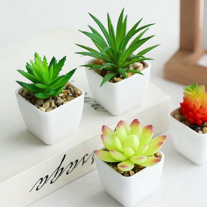 Sen Đá Giả, Xương Rồng Giả Dùng Để Trang Trí Nhà Cửa [Không kèm chậu]