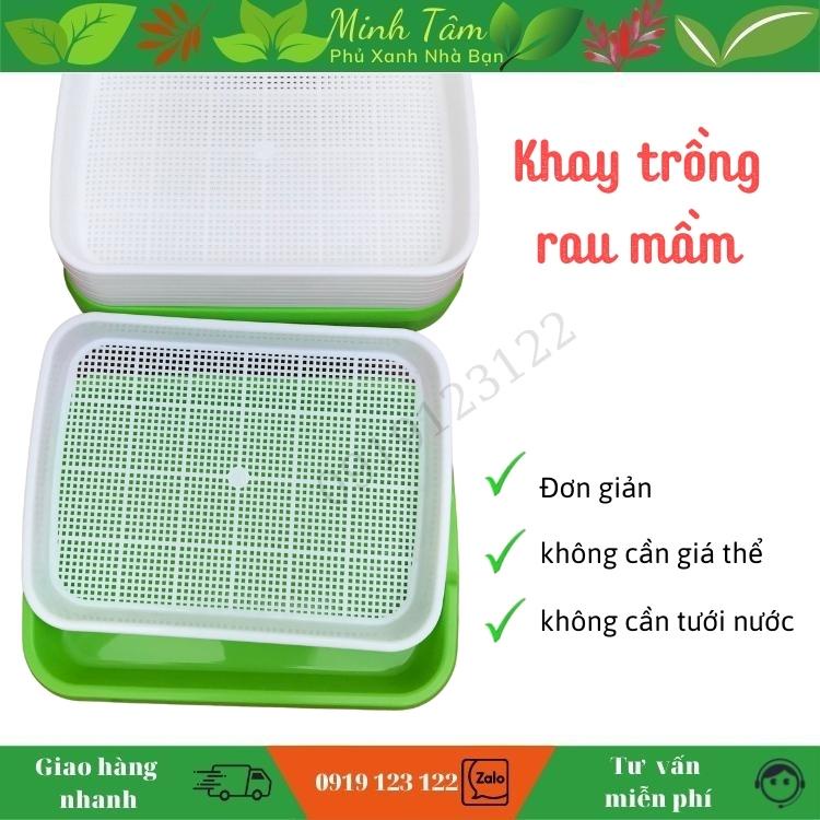 Khay trồng rau mầm thuỷ canh chuyên dụng, khay trồng lúa mì thủy canh