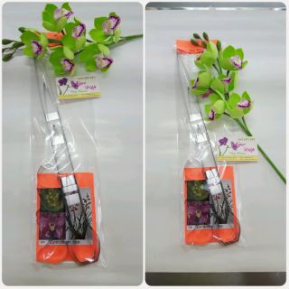 Khuôn hoa địa lan