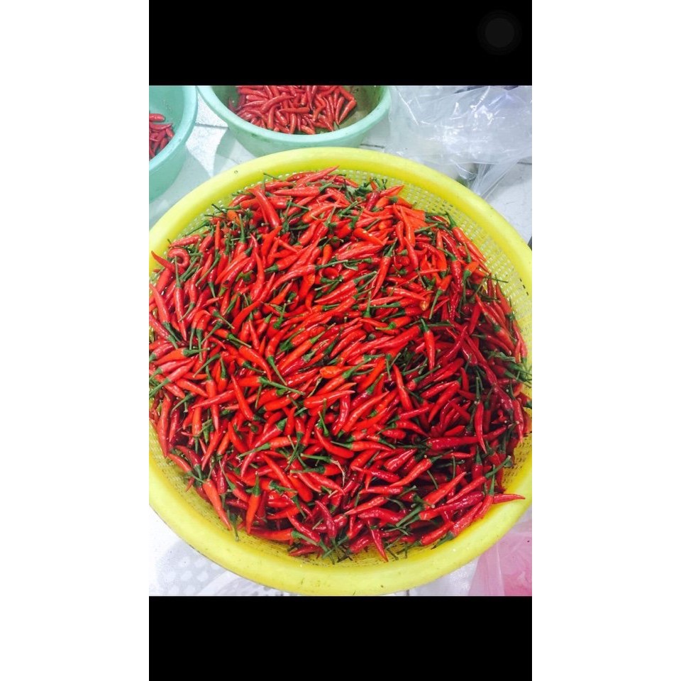 500 GR KHÔ GÀ CAY TÚI ZIP_QUỐC BẢO | BigBuy360 - bigbuy360.vn